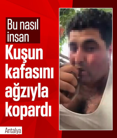 Antalya'da kuşlara yönelik vahşet kamerada: Birinin kafasını ağzıyla, diğerini bıçakla kesti
