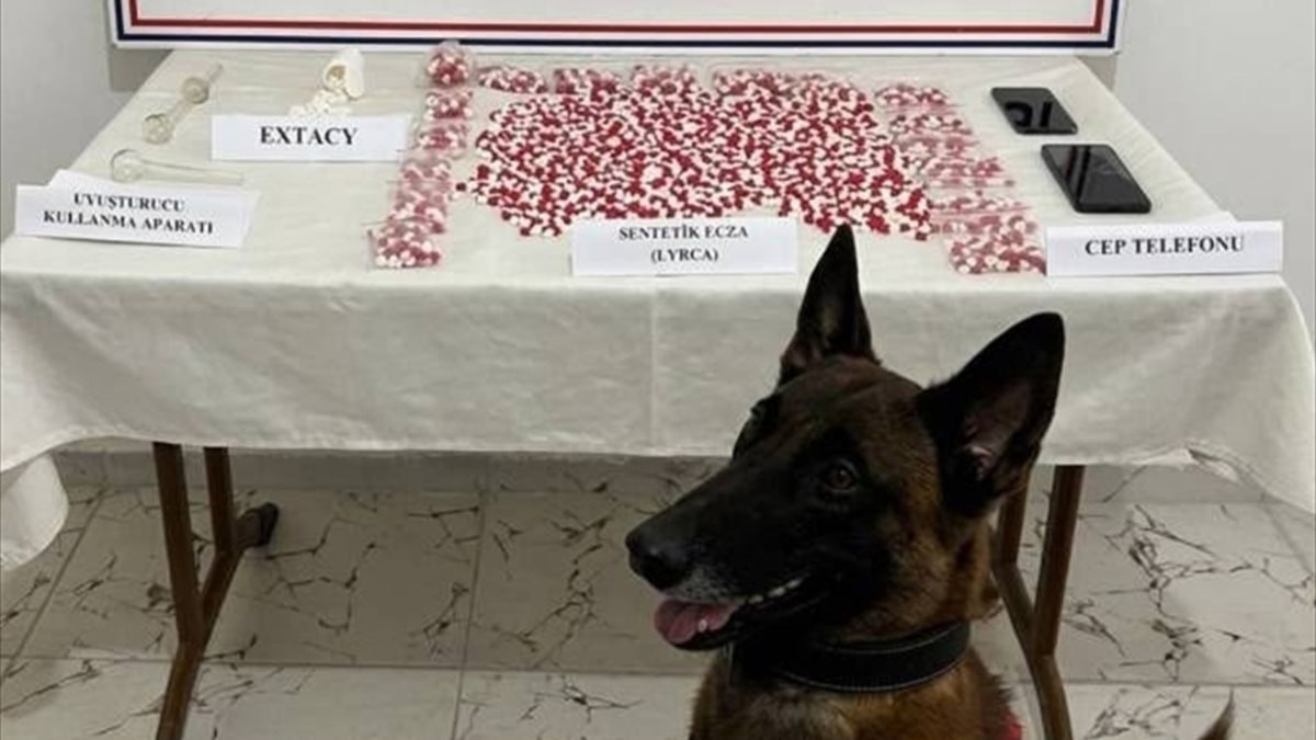 Siirt'te otobüste 2 bin 650 uyuşturucu hap ele geçirildi