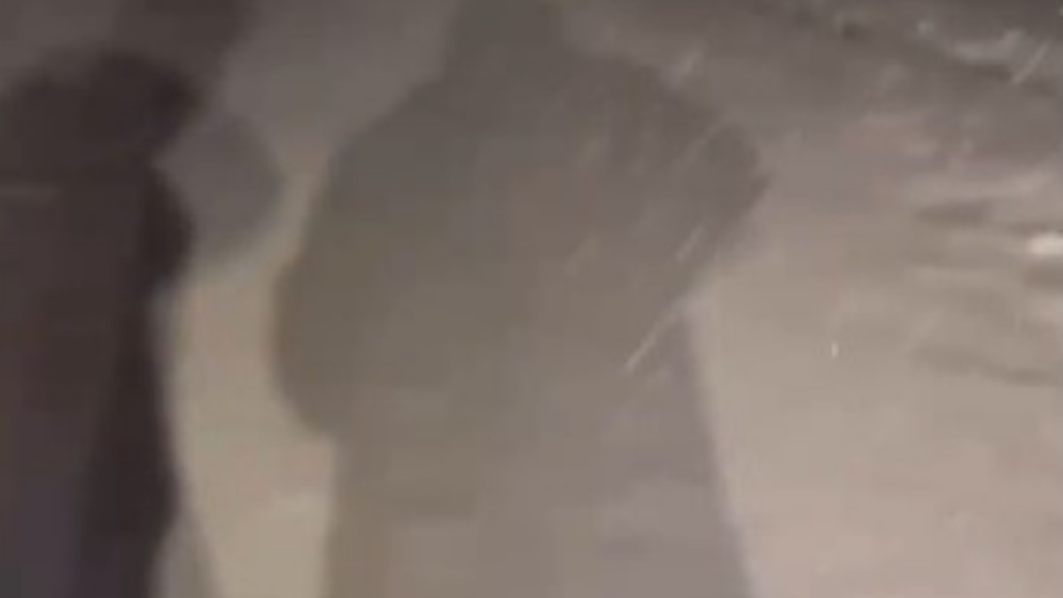 Kars’ta yaylaya mevsimin ilk karı düştü