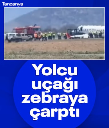 Tanzanya'da uçak kalkışta zebraya çarptı: Acil iniş yaptı