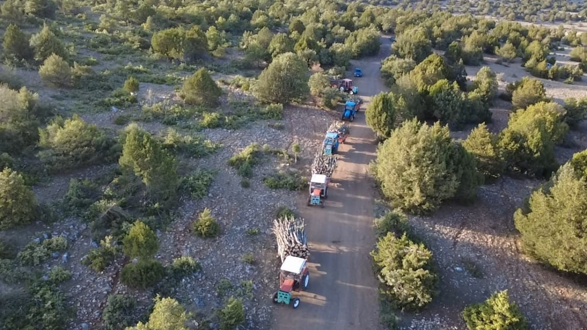 Yozgat'ta imece usulü kışlık odun mesaisi