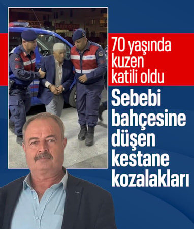 Aydın'da tartıştığı kuzenini öldürdü