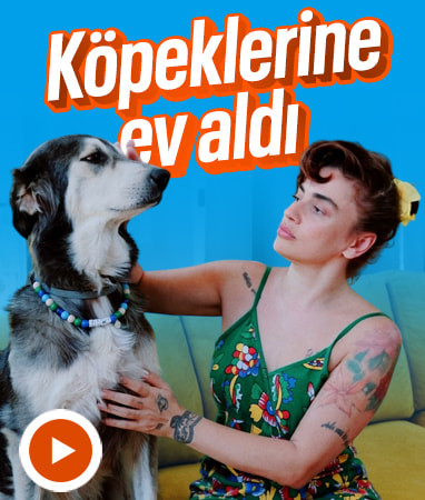 Köpeklerine ev aldı