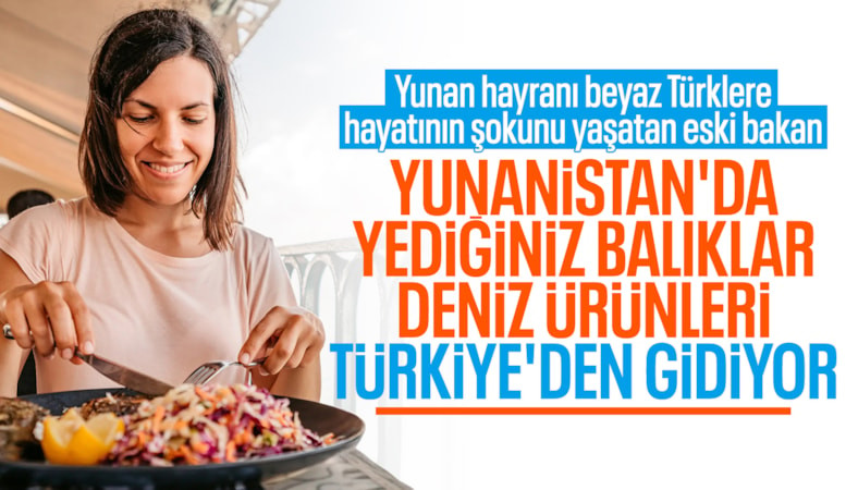 Kürşat Tüzmen'den ekonomi değerlendirmesi: Yunanistan tatili örneği verdi