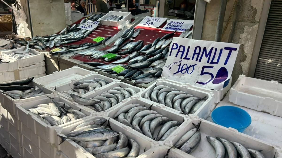 Kastamonu'da tezgahları palamut süslüyor