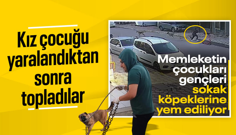 Hatay'da okul yolunda köpek saldırısı: 15 yaşında kız öğrenci yaralandı