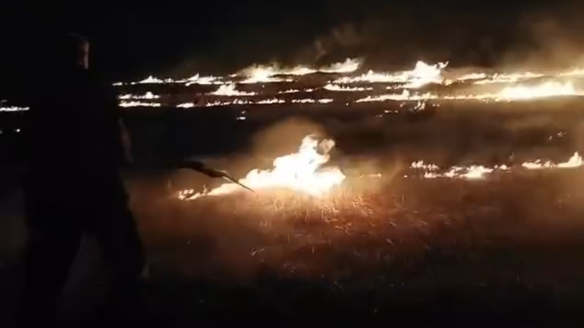 Adıyaman'da anız yangını