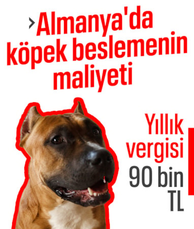 Almanya'da köpek sahibi olmanın bedeli ağır: 429 milyon euro vergi toplandı