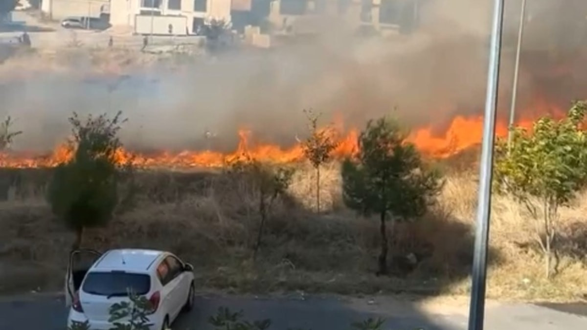 Edirne'de otluk alanda yangın çıktı: Vatandaşlar ve itfaiye ekipleri seferber oldu