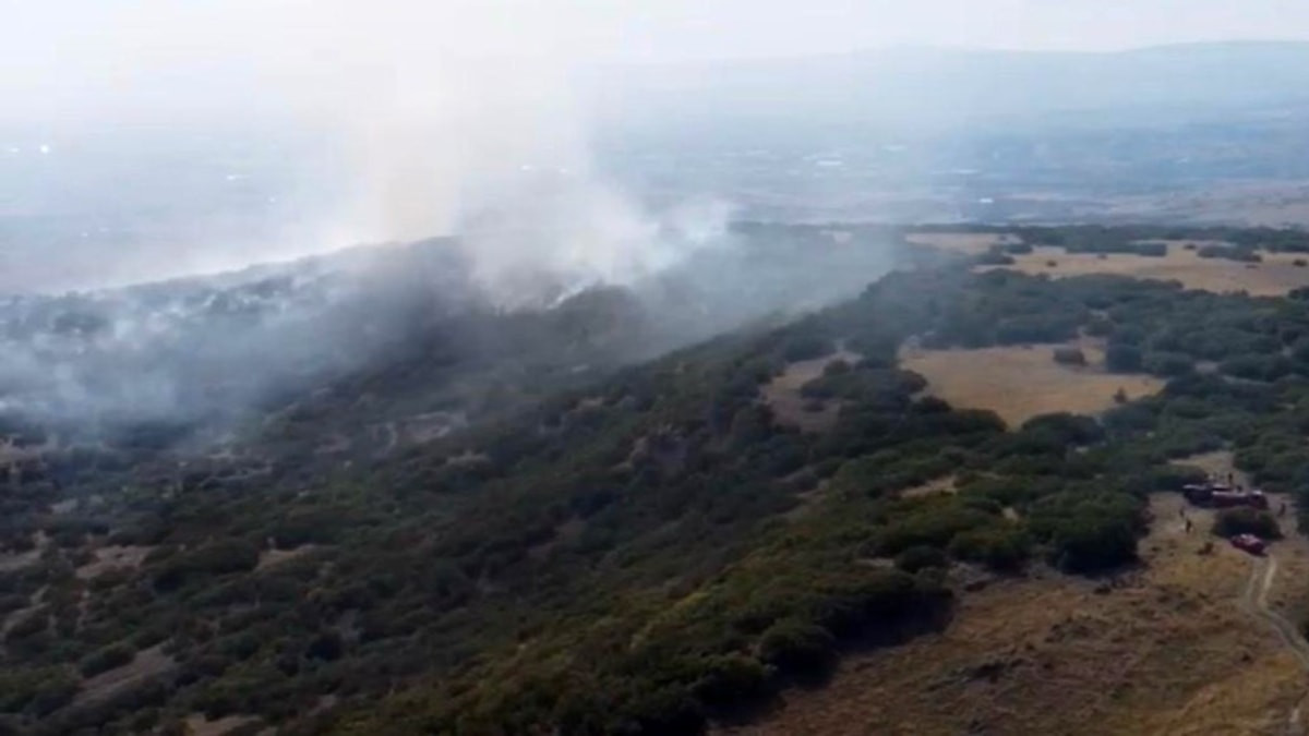 Ankara'da ormanlık alanda yangın