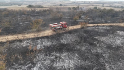 Edirne'de çıkan anız yangını, kaplumbağalar ve yabani hayvanları etkiledi