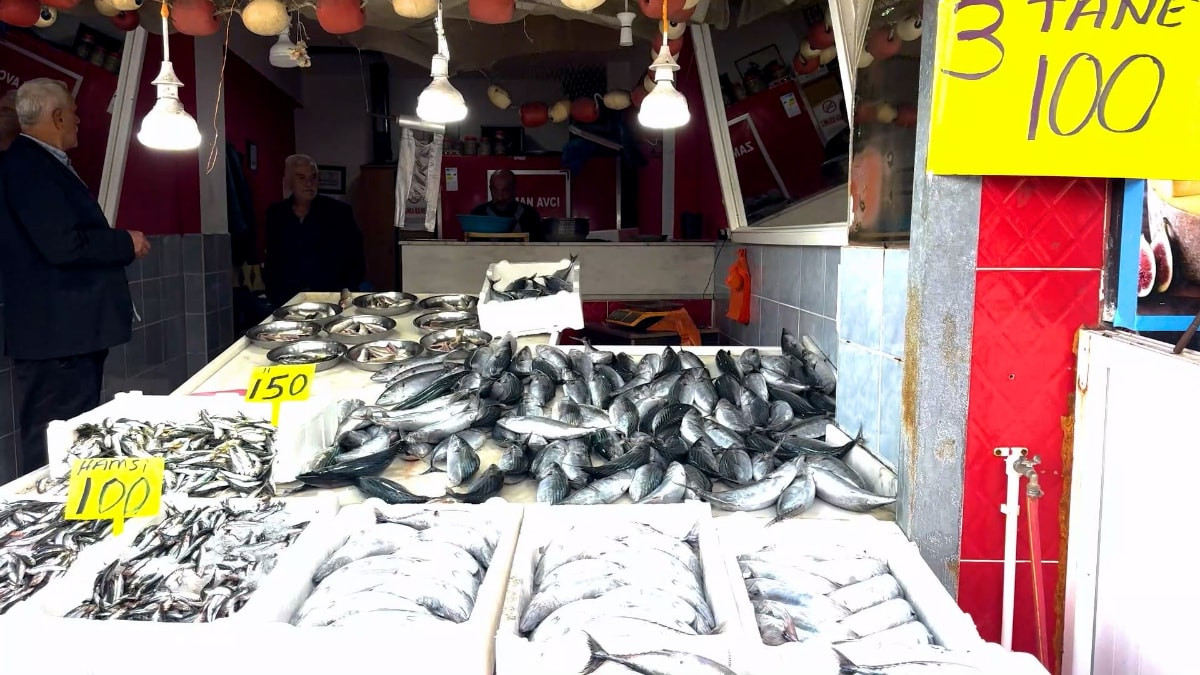 Rize'deki balık tezgahlarında palamutun 3 tanesi 100 TL'den satışa sunuluyor