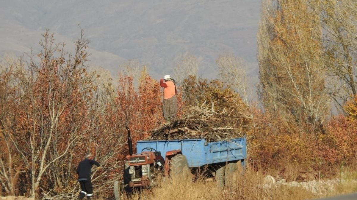 Erzincan'da kışlık odun hazırlığı başladı