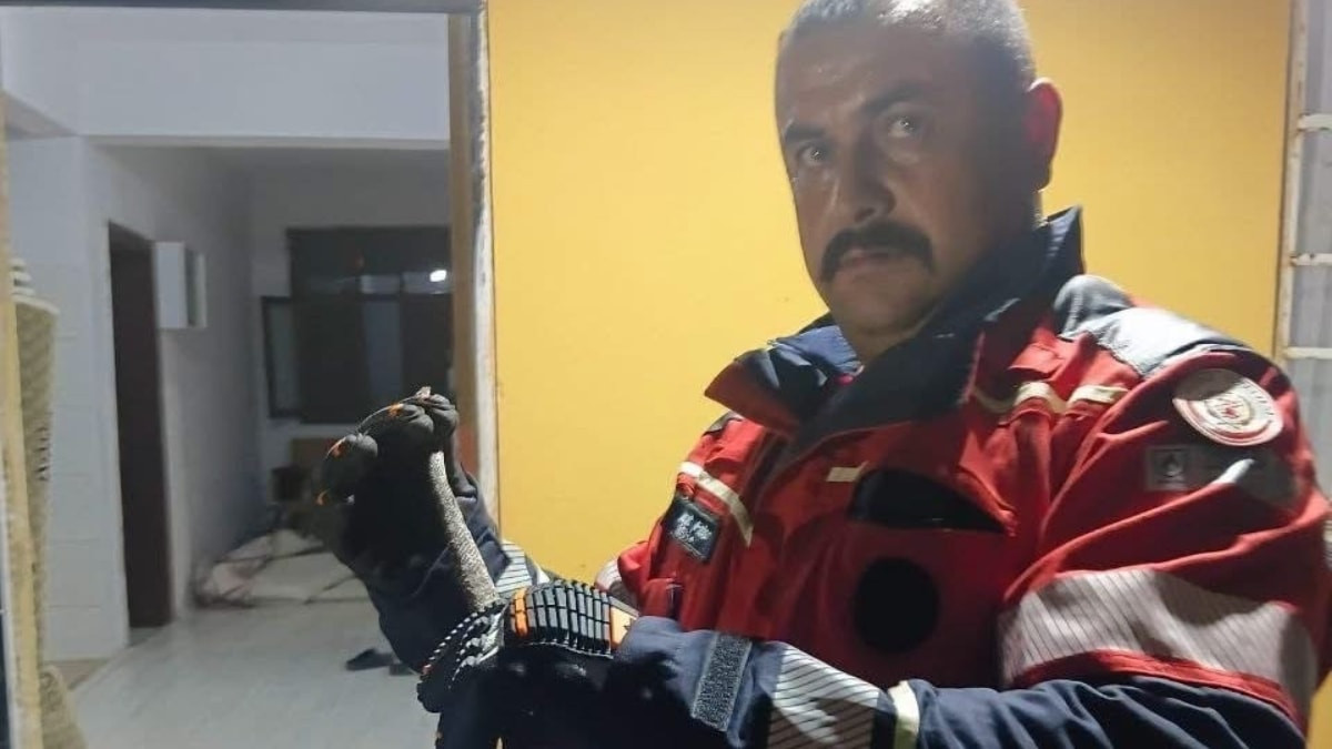 Hatay'da evde görülen yılan itfaiye ekiplerince yakalandı