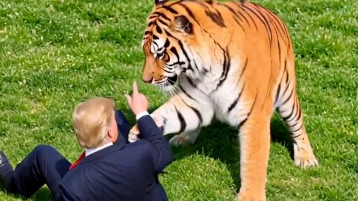 Donald Trump'tan yapay zekalı 'kaplan oyunu': Öldürülen gencin acısını alaya aldı