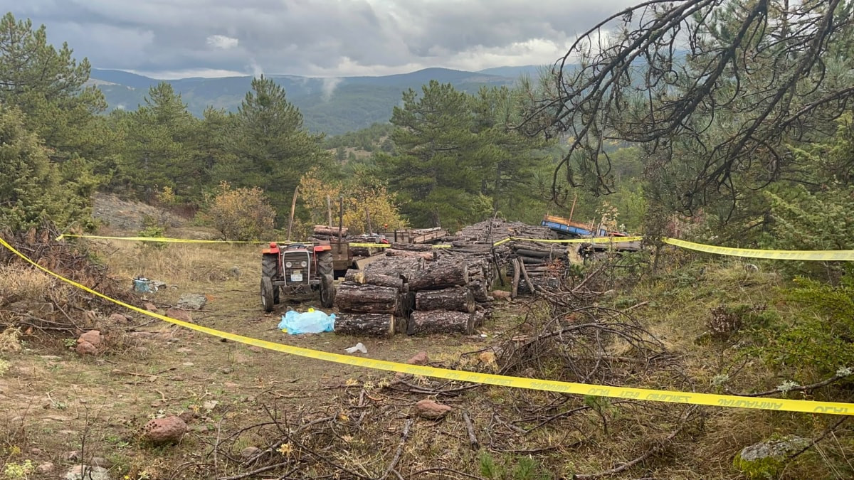 Kastamonu'da başına odunla vurulan köy imamı hayatını kaybetti