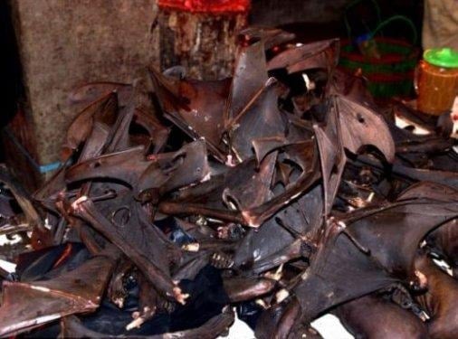 Burası dünyanın en korkunç yiyecek pazarı - Resim 11