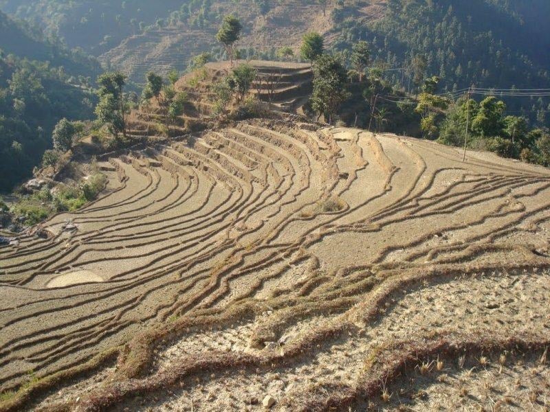 Himalayaların beşiği: Nepal - Resim 11