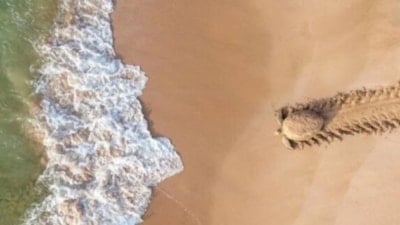 2021'in en başarılı drone fotoğrafları