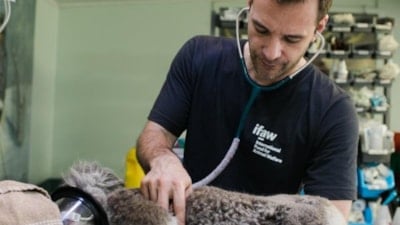 Meslek gruplarının dünya çapındaki saatlik ücretleri