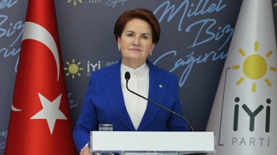 Ünlü isimlerden Meral Akşener'e tepki