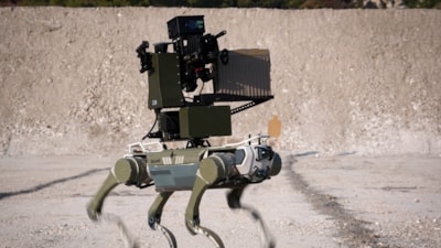 Bars'ın BORAN-6 Keskin Nişancı Yarışması performansı