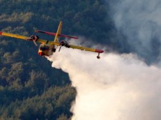 Hatay'da 500 hektarlık alan kül oldu
