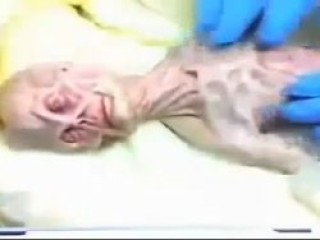 Rusya'daki uzaylı otopsisi herkesi şaşırttı - izle