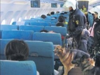 Norveç'ten Türk yolculara köpekli arama