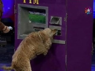 Yetenek Sizsiniz Türkiye'de 2 Şubat performansları-Video