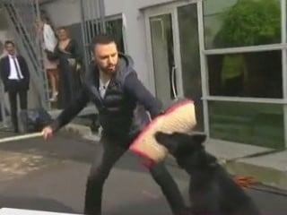 Her Şey Dahil'de Alişan'ın köpekle imtihanı