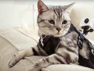 Xiaomi aksiyon kamerası üretti