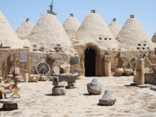 Harran'da şiddet gören kadınlara özel köy