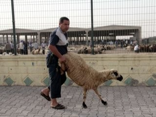 Şanlıurfa'da Kurban Bayramı hareketliliği başladı