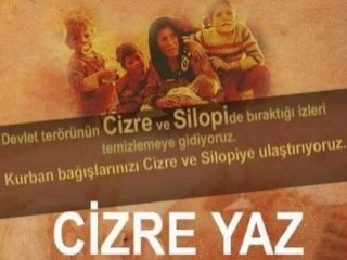 HDP'ye bağış trolü