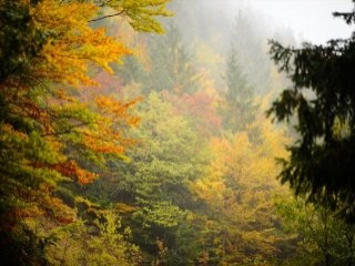 Türkiye'de bahar ayları ortadan kalkabilir