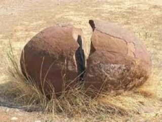 Çin’de 80 milyon yıllık dinozor fosilleri bulundu