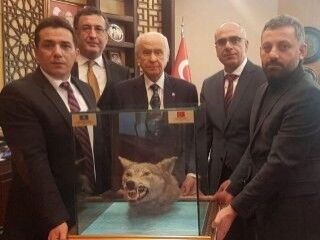 Bahçeli'ye 71'inci yaş günü hediyesi: Kurt kafası
