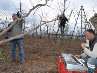 Meyve bahçesinde müzikli mesai