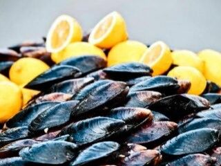 Bodrum'da açıkta midye satışı yasaklandı