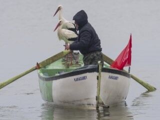 8 yıldır Adem Amca'yı ziyaret eden leylek bu yıl eşiyle geldi