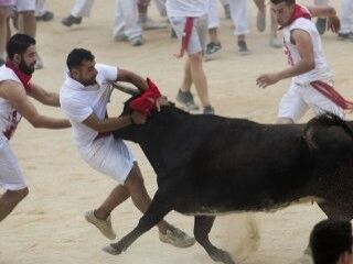 İspanya'da geleneksel boğa festivali başladı
