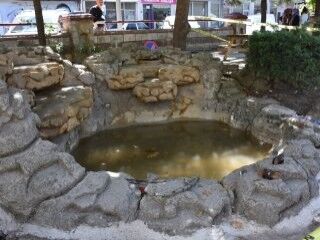 Süs havuzuna giren çocuklar hastanelik oldu