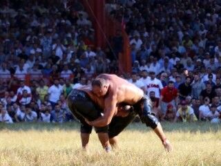 Kırkpınar Güreşleri'nde Ali Gürbüz başpehlivan oldu