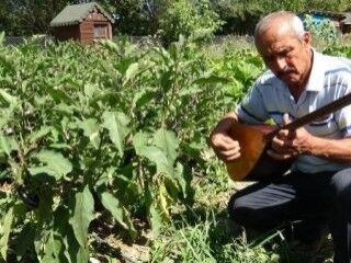 Verimin artmasını isteyen adam hayvanlarına saz çalıyor