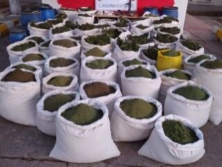 Kıran-5 Operasyonu'nda 1 ton 615 kilo esrar ele geçirildi