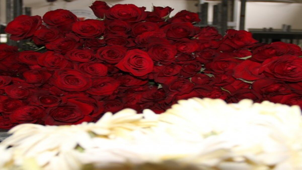 Koronavirüs çiçekçileri fena vurdu