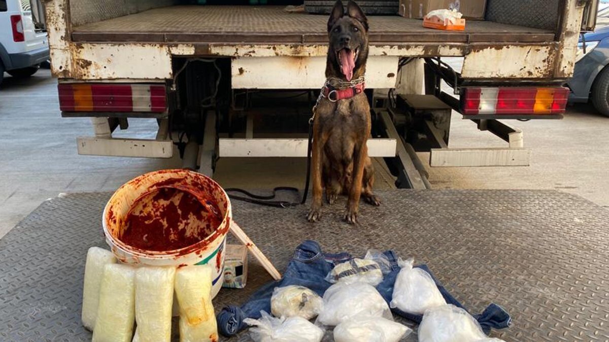 Antalya'da salça kutularının içine gizlenmiş uyuşturucu ele geçirildi