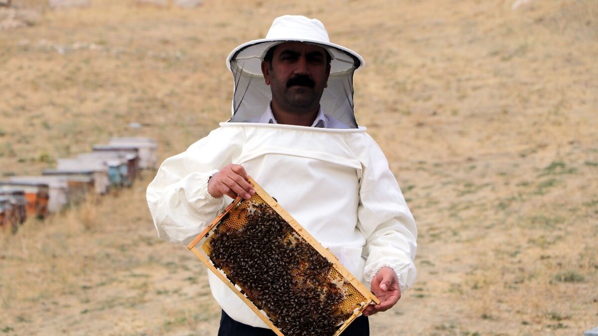 Van'da arıcılar bu yıl verim alamadı