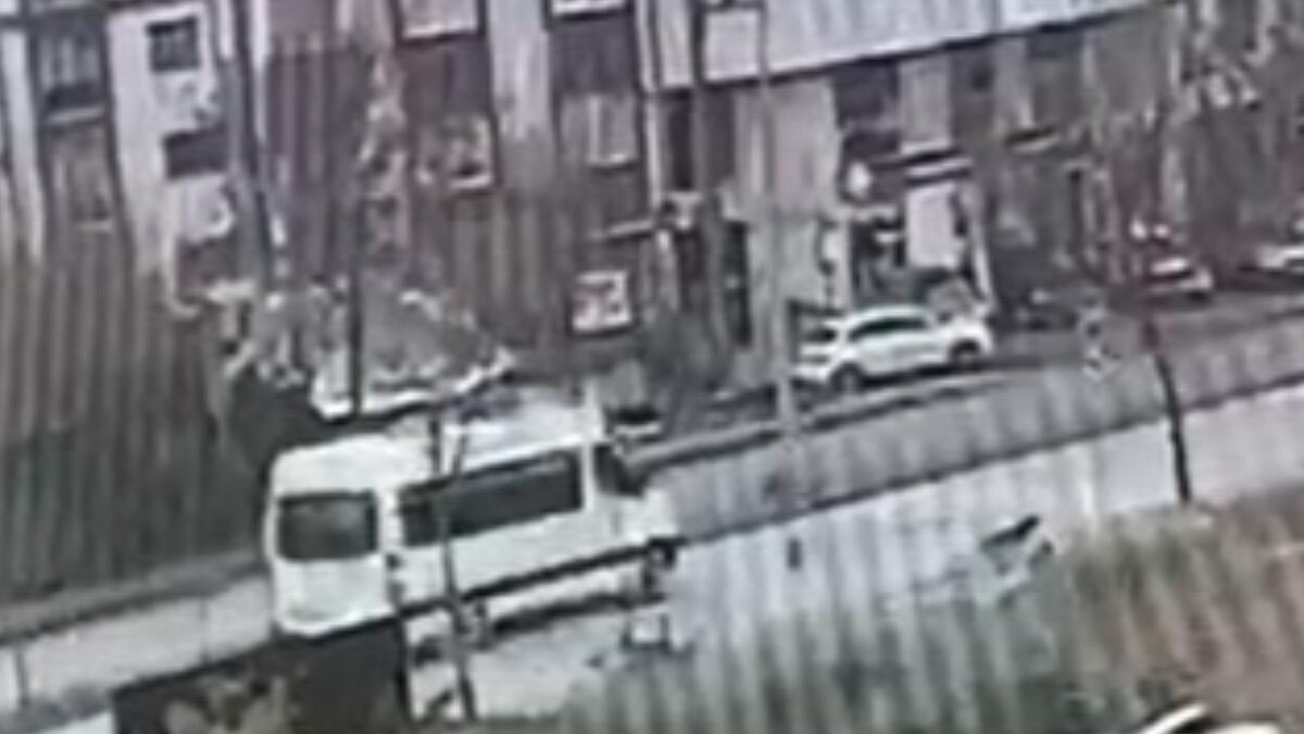 Kocaeli'de köpeğe çarpıp kaçan sürücü